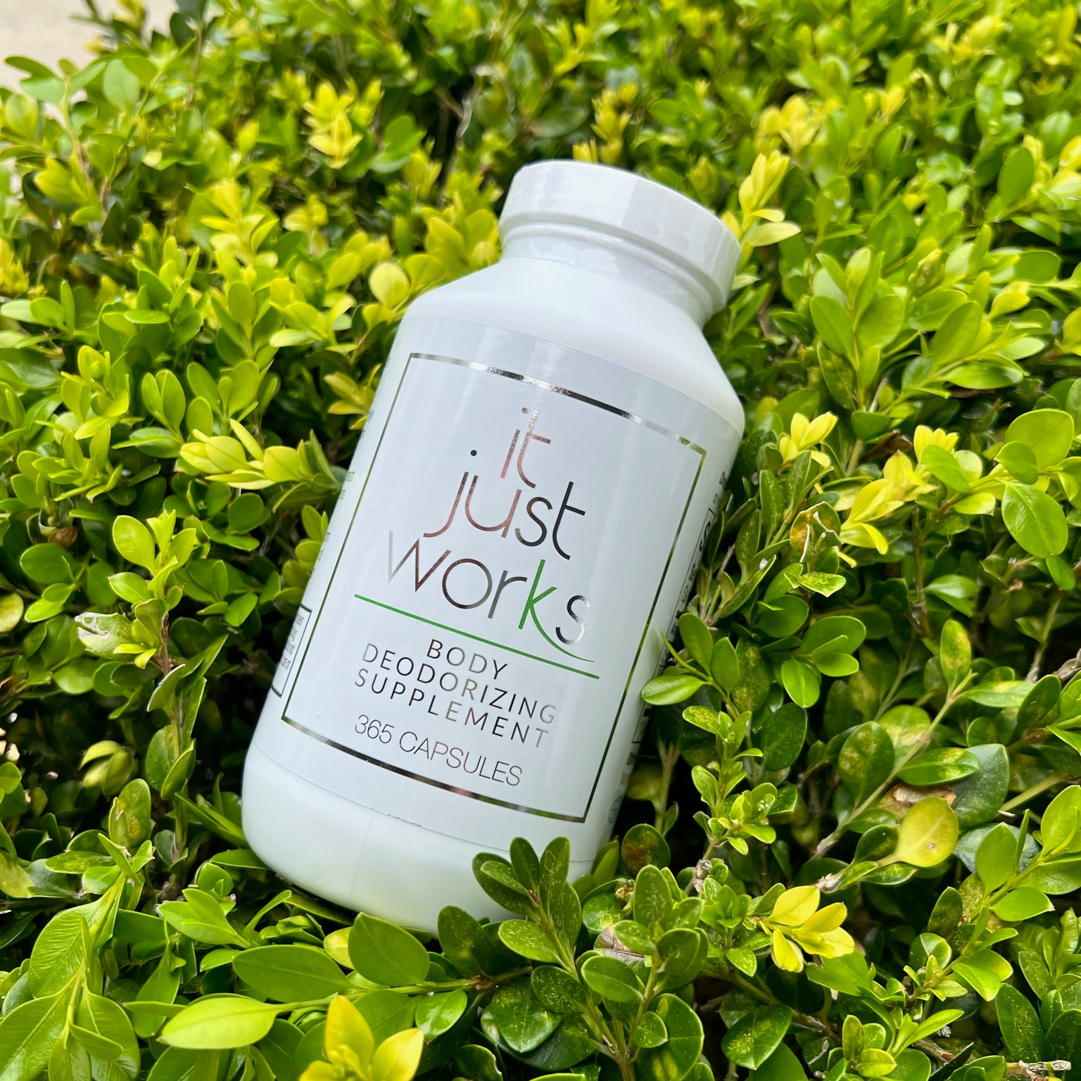 Green Your Routine: The Eco-Friendly Natural Deodorant Solution