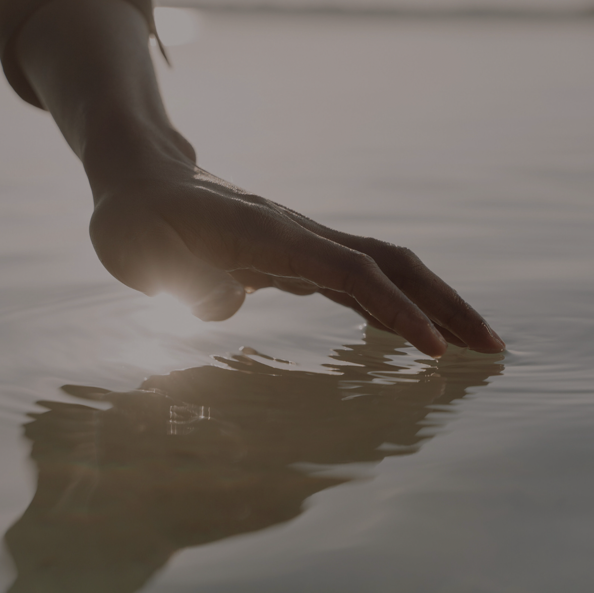 How to Stress Less: Finding the Calm in Chlorophyll